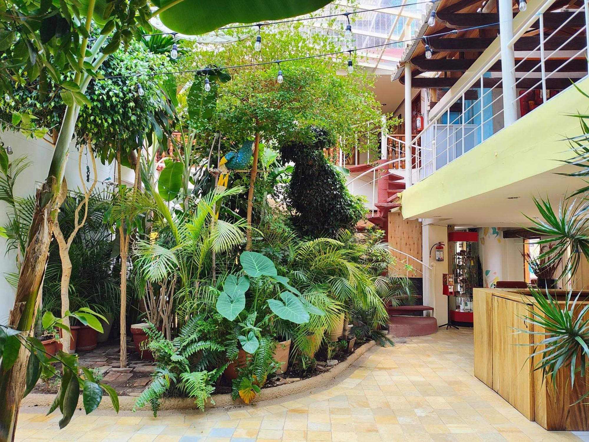 San Cristóbal de Las Casas Hotel Barrio Antiguo מראה חיצוני תמונה